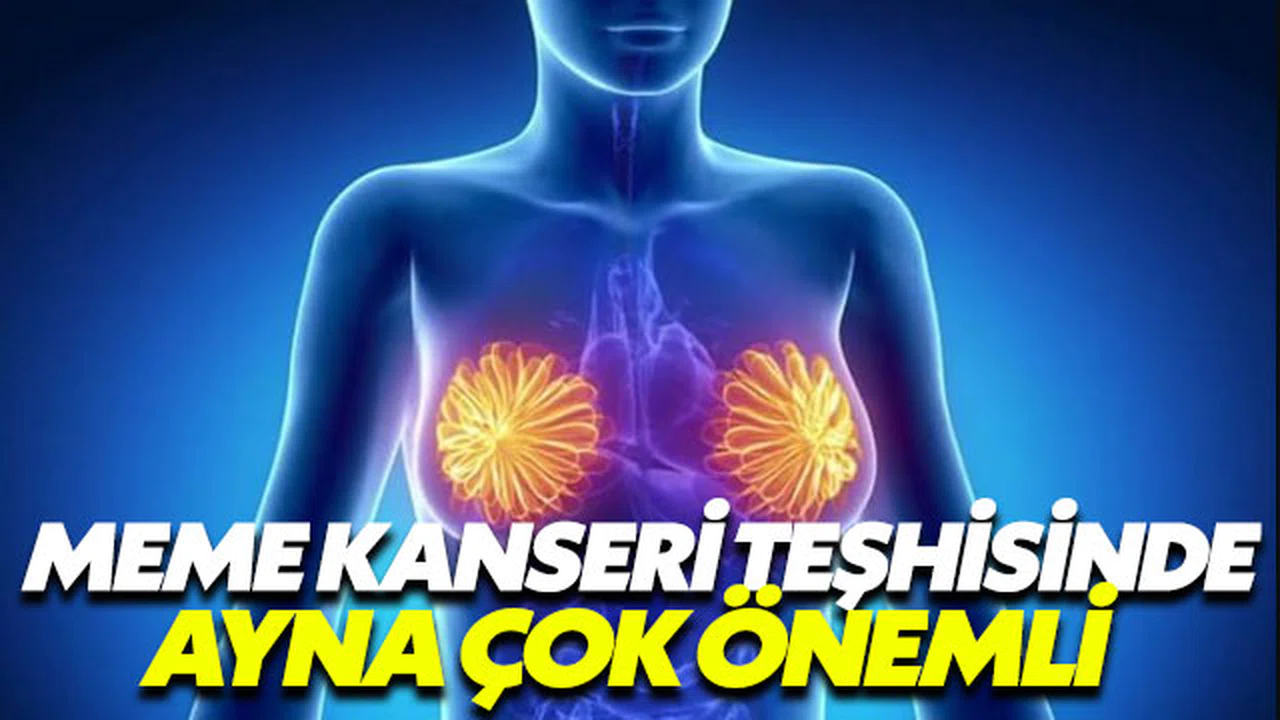 Meme kanserinin teşhisinde aynanın büyük önemi var