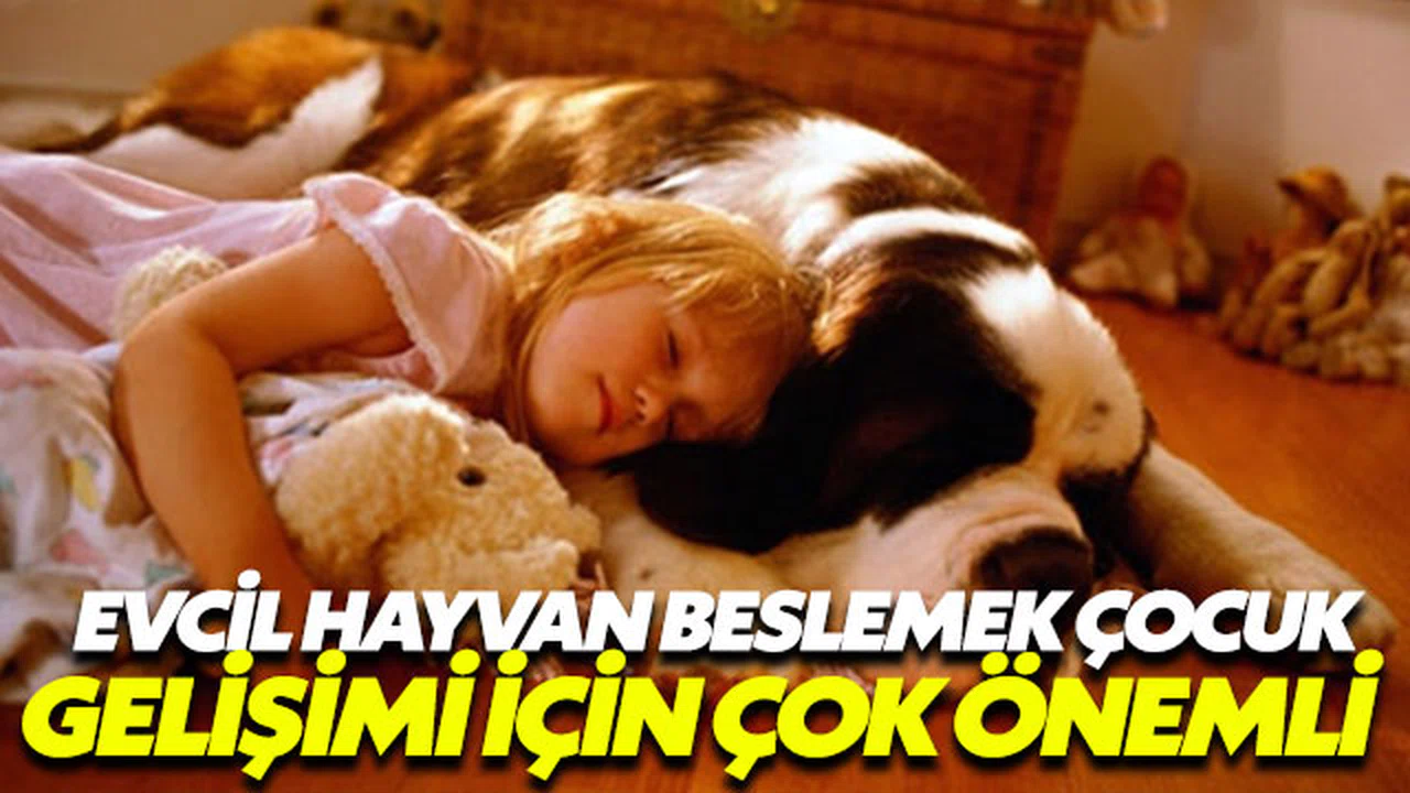 Evcil hayvan beslemek çocuklara empatiyi öğretiyor