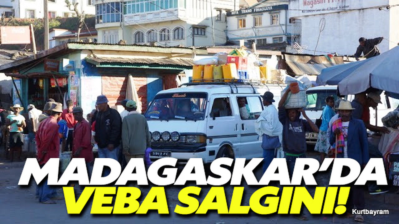 Madagaskar'da veba salgını 42 kişiyi öldürdü