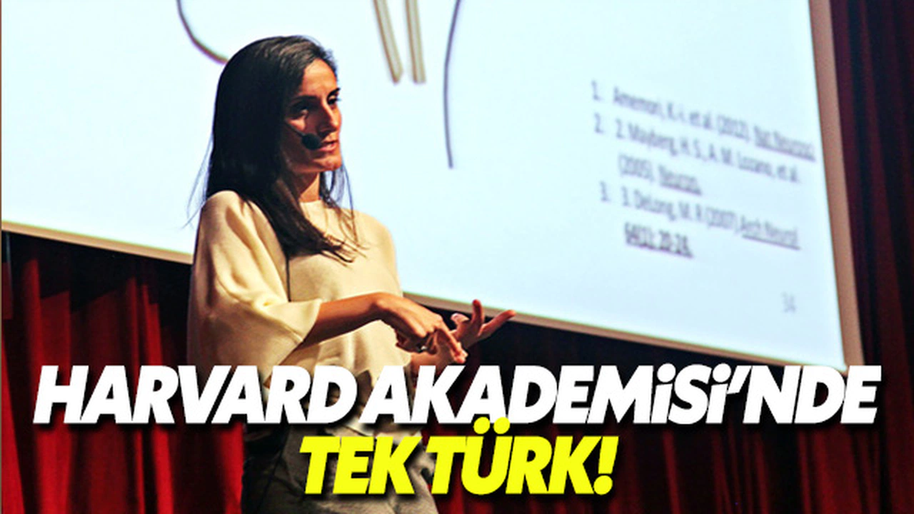 Harvard Üniversitesi Genç Akademi'ye seçilen ilk Türk