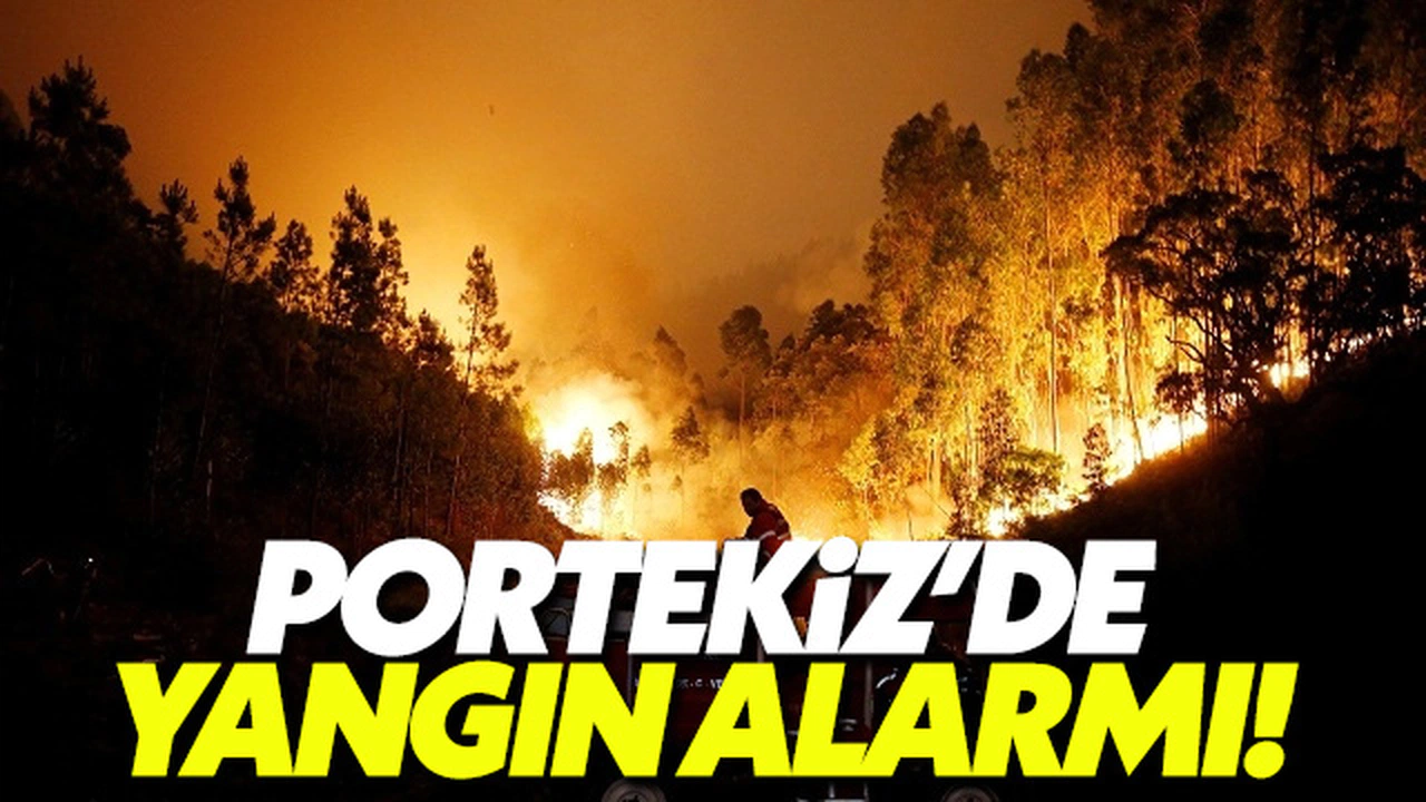 Portekiz'de yangın can aldı