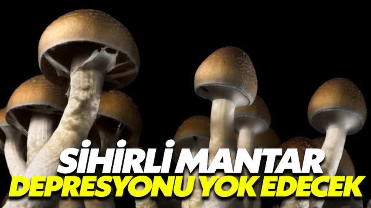 Psilosibin depresyonu yok edecek