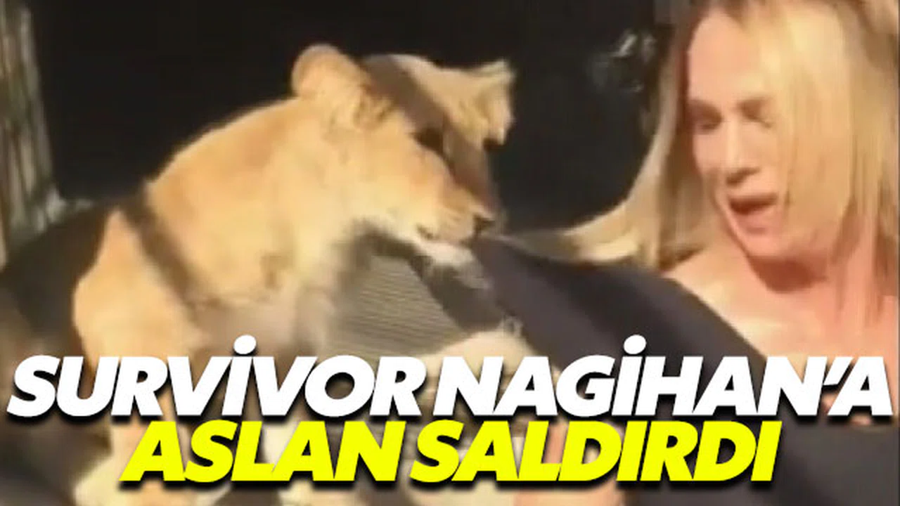 Survivor yarışmacısı aslan saldırısına uğradı