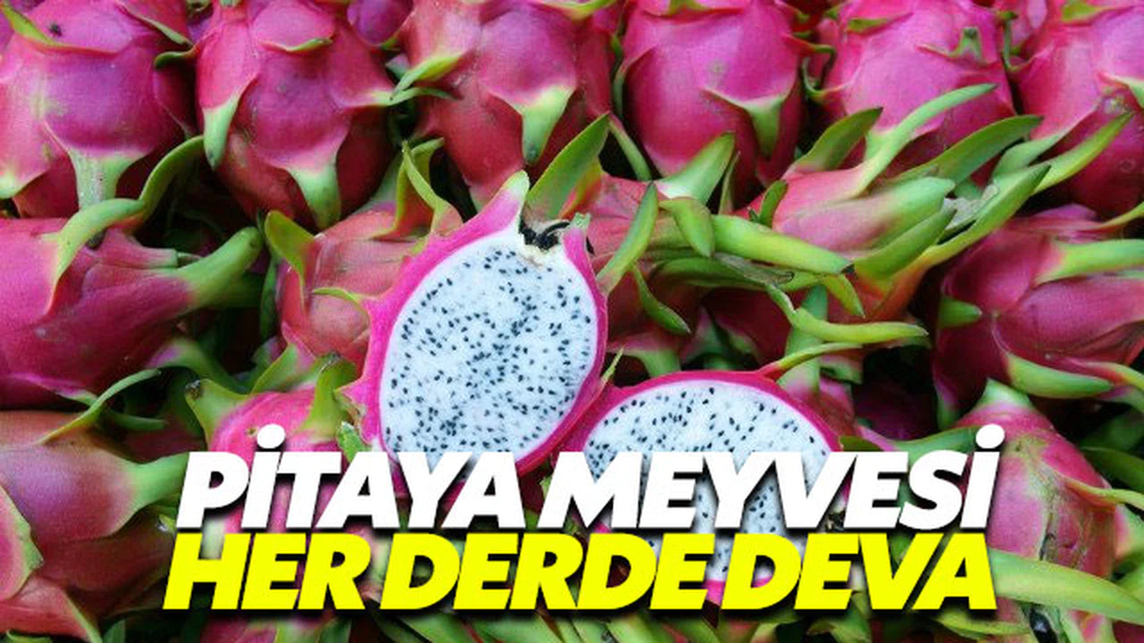 Her derde deva pitaya artık sofralarımızda