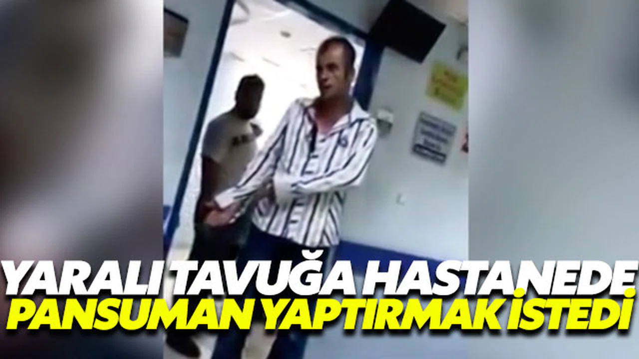 Yaralı tavuğu pansuman yaptırmak için hastaneye götürdü