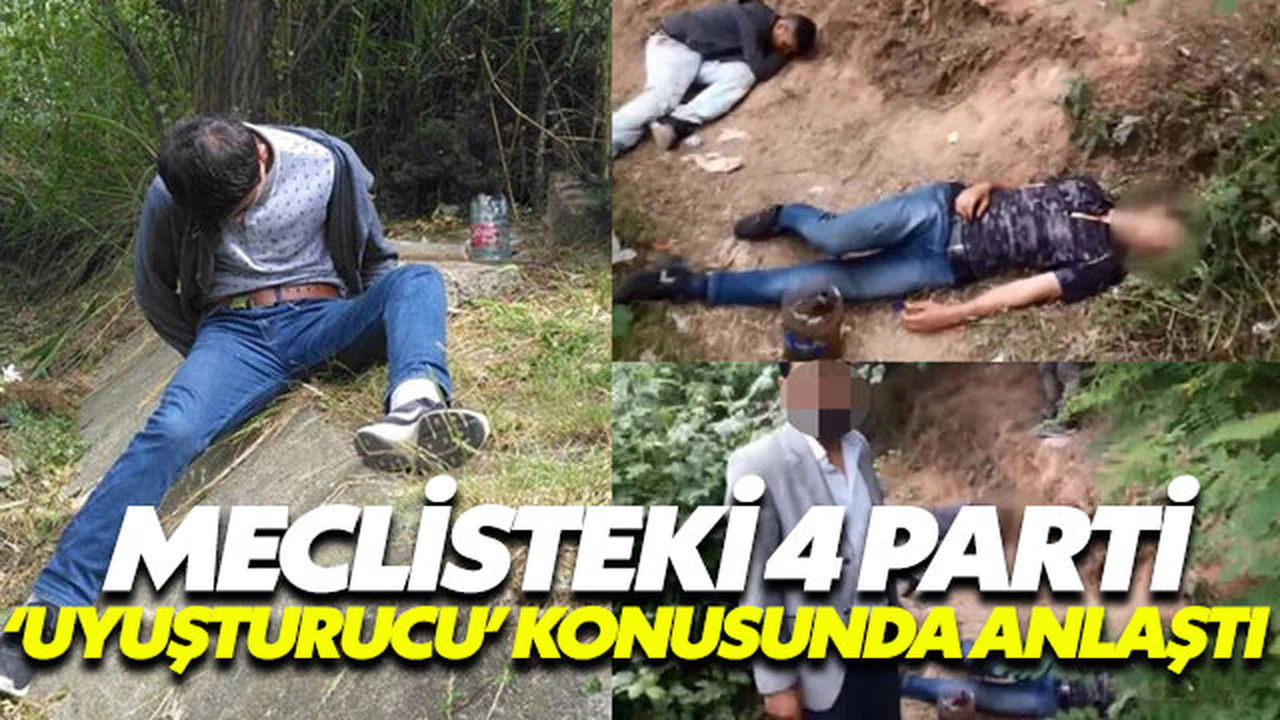 Meclisteki 4 parti ‘uyuşturucu’ konusunda anlaştı