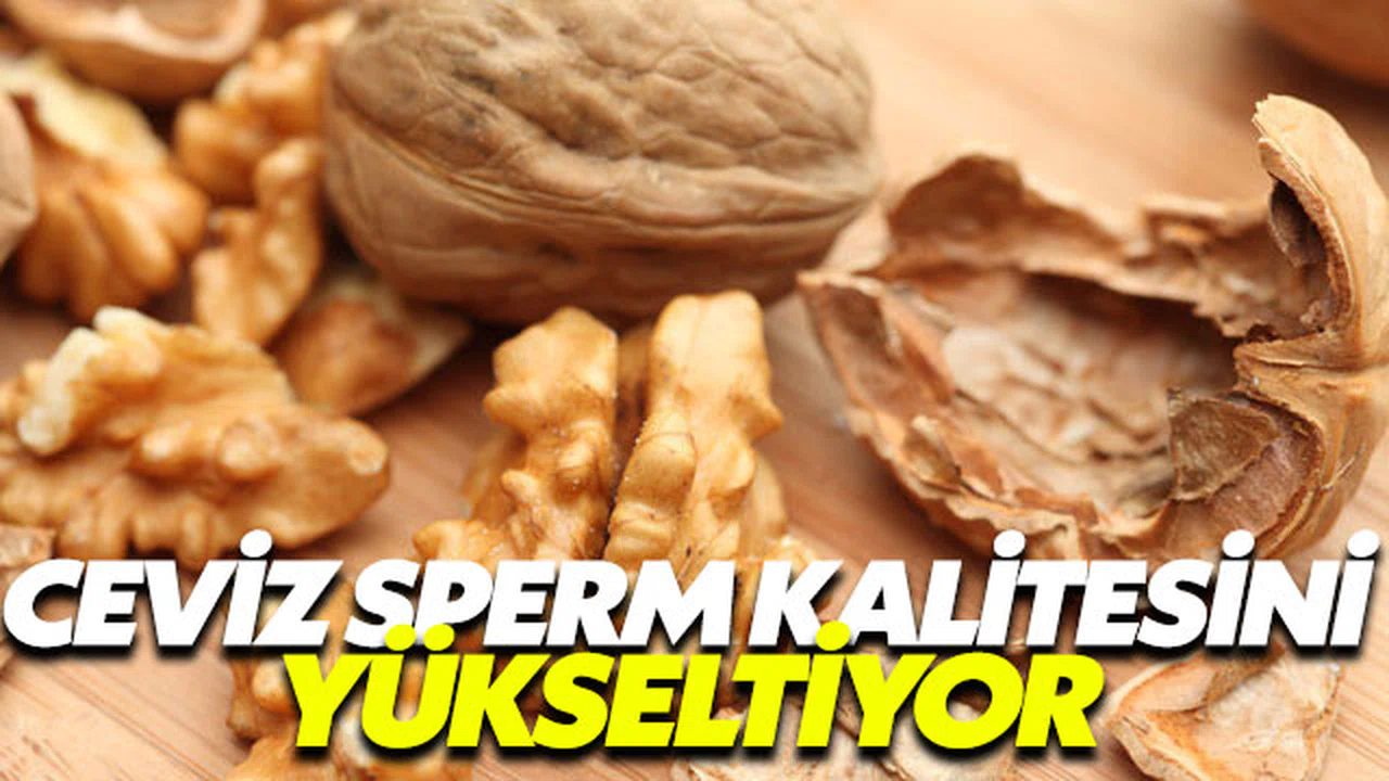 Erkeklerde kısırlığın tedavisi cevizden geçiyor