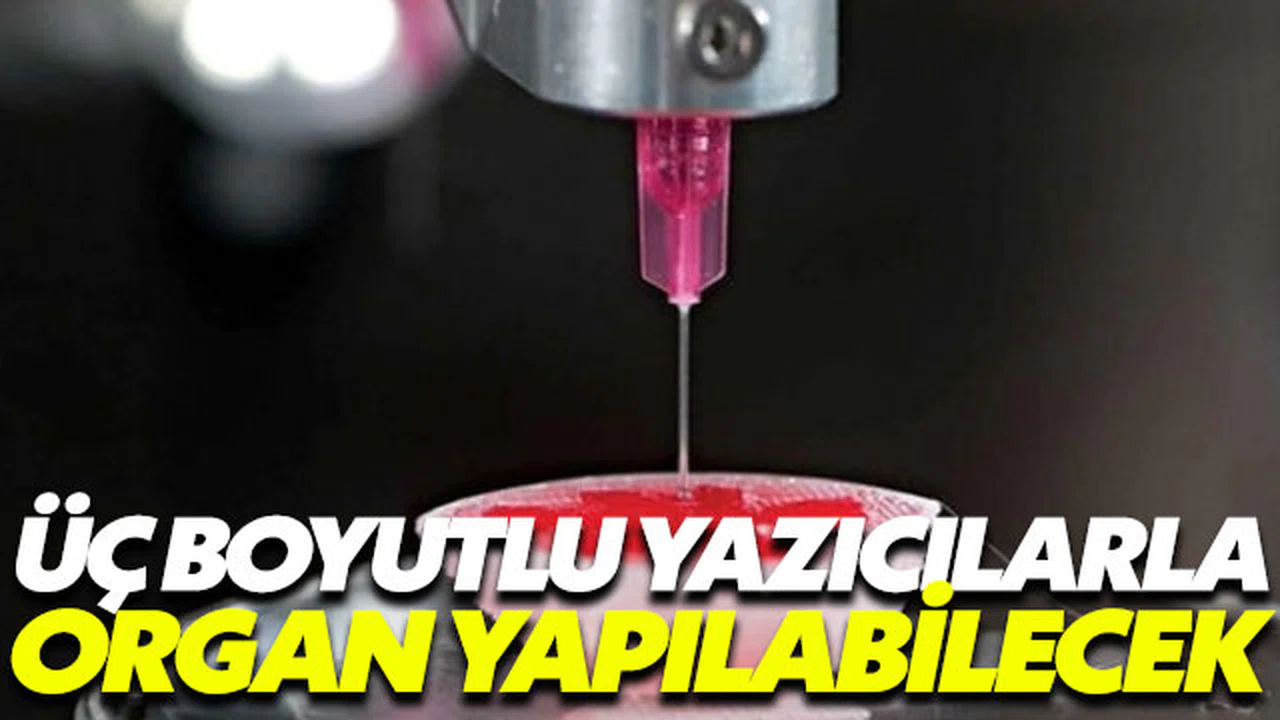 Üç boyutlu yazıcılar ile organ yapılabilecek