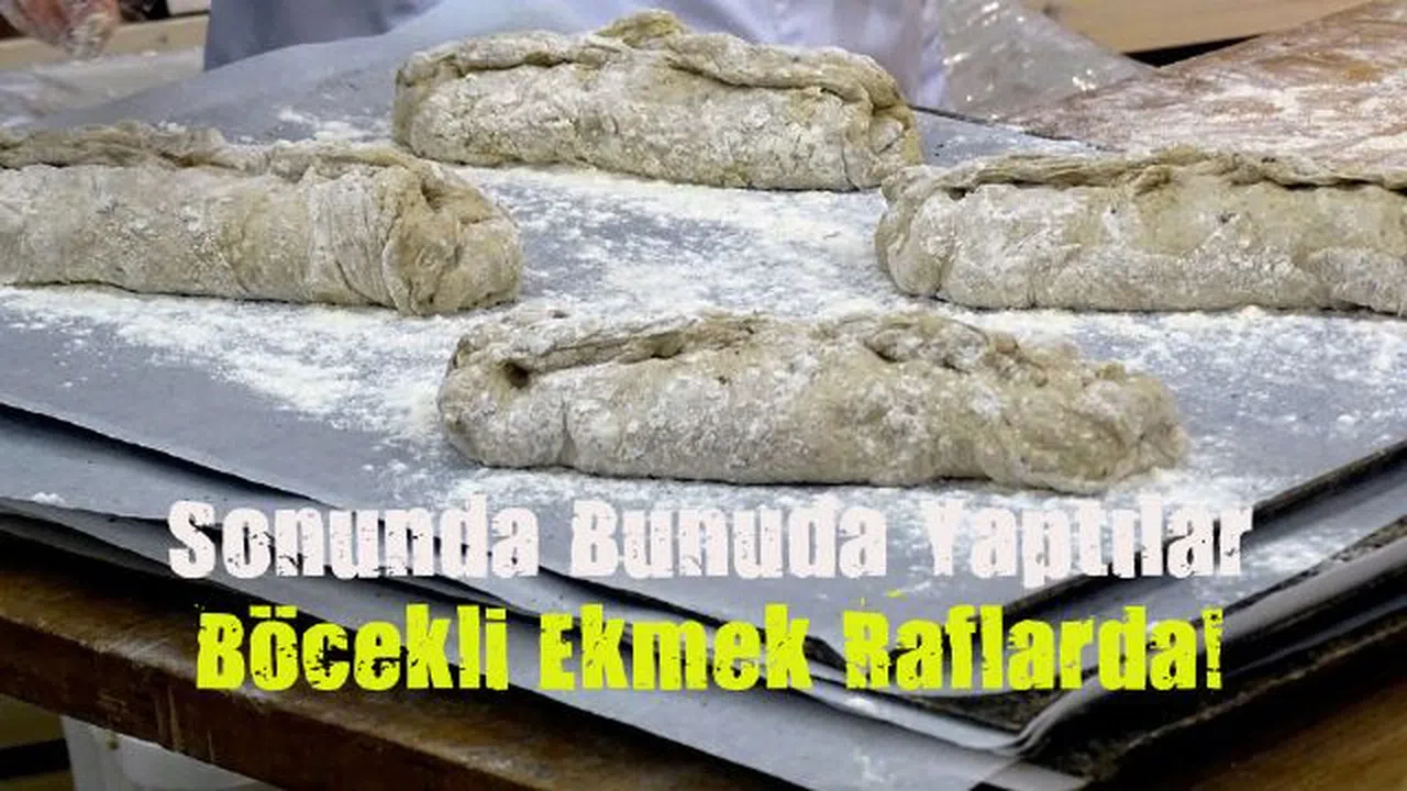 Finlandiya'da böcekli ekmek satışa sunuldu!