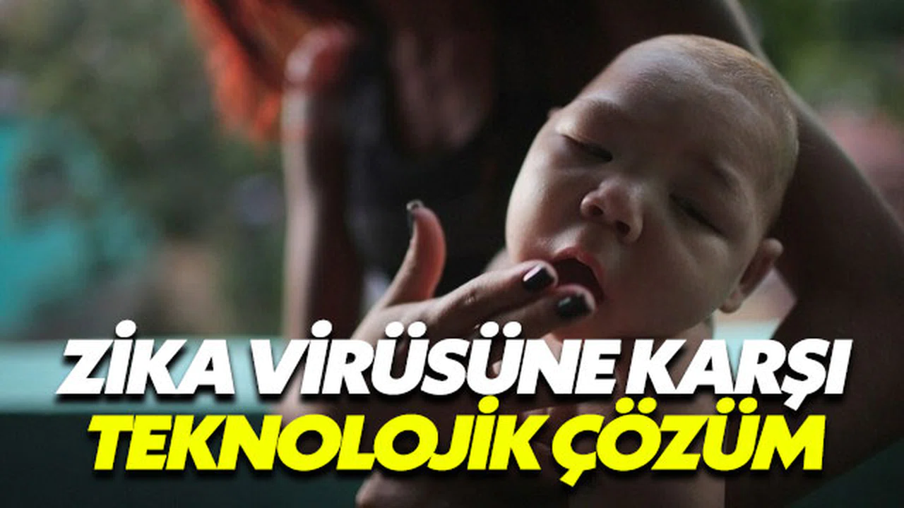 Zika virüsüne teknolojik çözüm