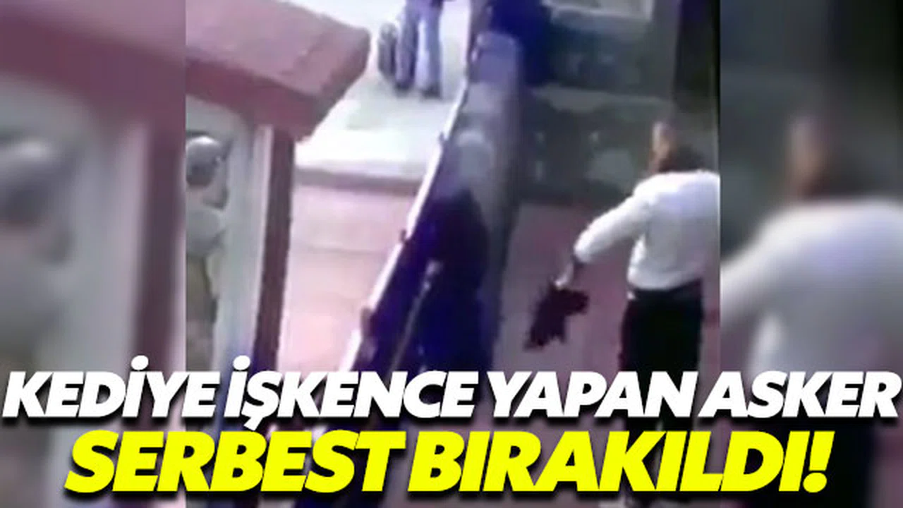 Kediye işkence yapan asker serbest bırakıldı