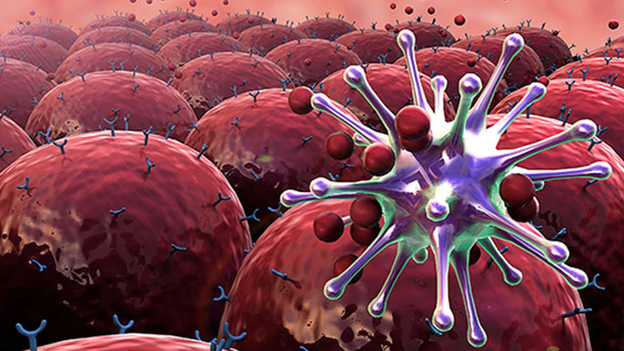 Kansere karşı çözüm bu besinlerden geçiyor