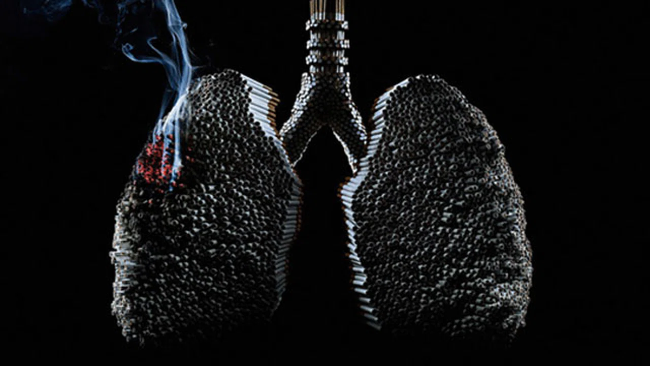 Kalp damar hastalıklarının büyük çoğunluğunda alkol ve sigara önemli rol oynuyor