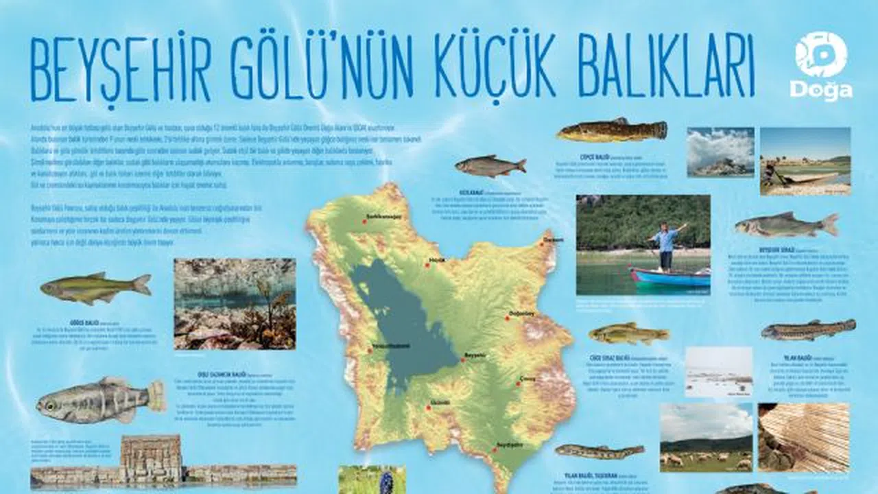 On beş balık türü dünyada yalnızca Konya Havzasında yaşıyor