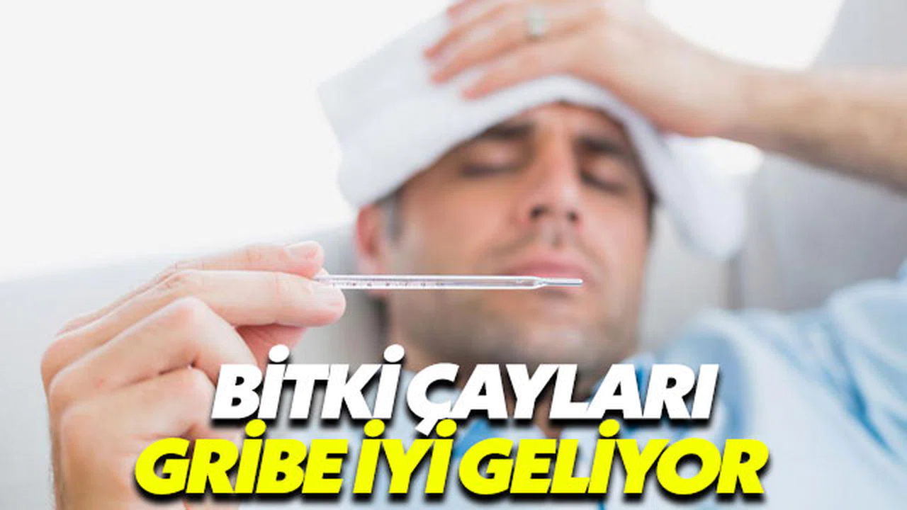 Griple mücadele de bitki çaylarından destek alın