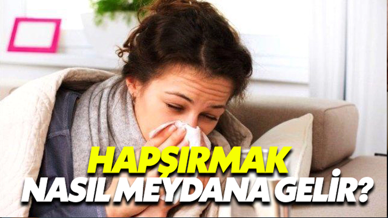 Hapşırmak Nasıl Meydana Gelir?