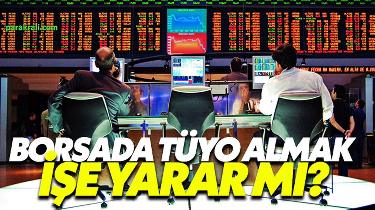Borsada Tüyo Almak İşe Yarar Mı?
