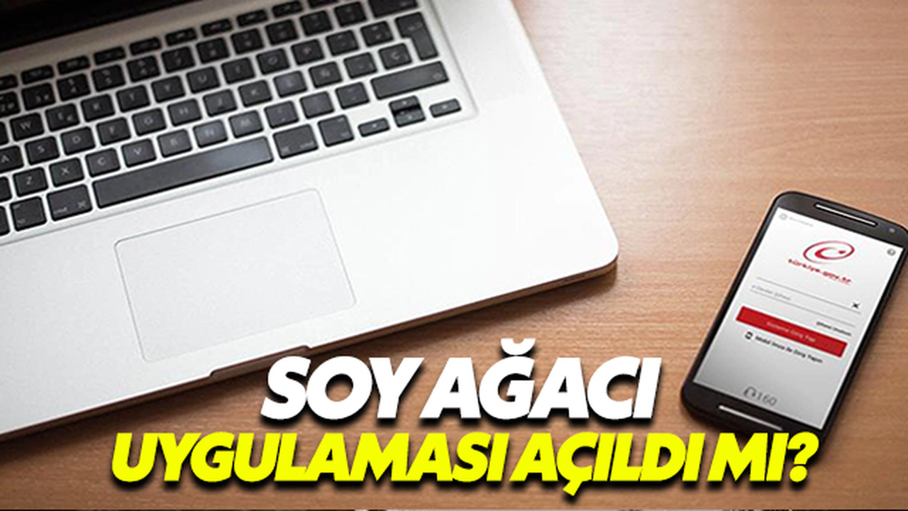 Soy Ağacı Uygulaması Açıldı Mı?