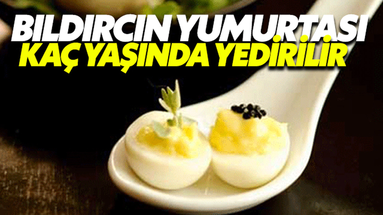 Bıldırcın Yumurtası Kaç Yaştan İtibaren Yenebilir?