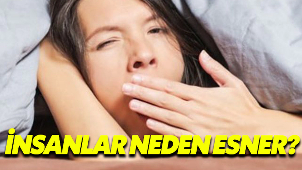 İnsanlar Neden Esner?