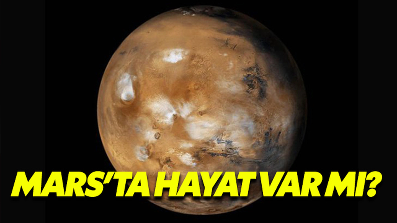 Marsta Hayat Var Mı?