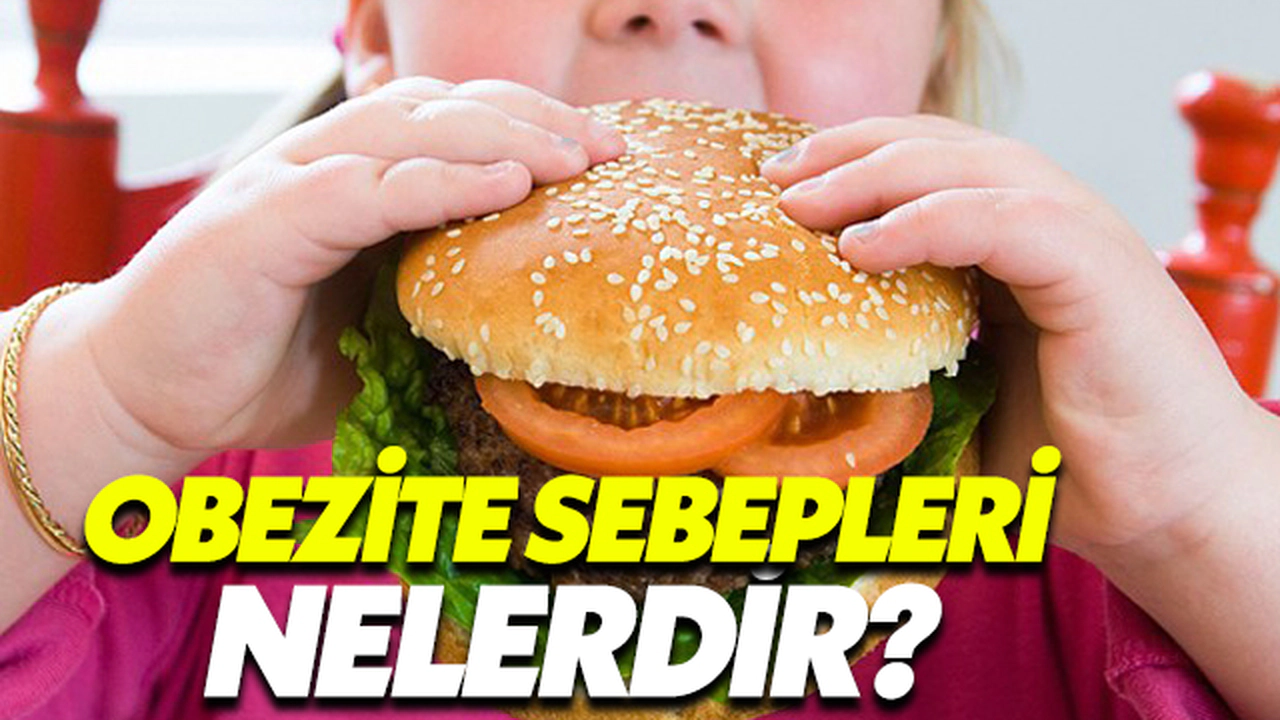 Obezite Sebepleri Nelerdir?