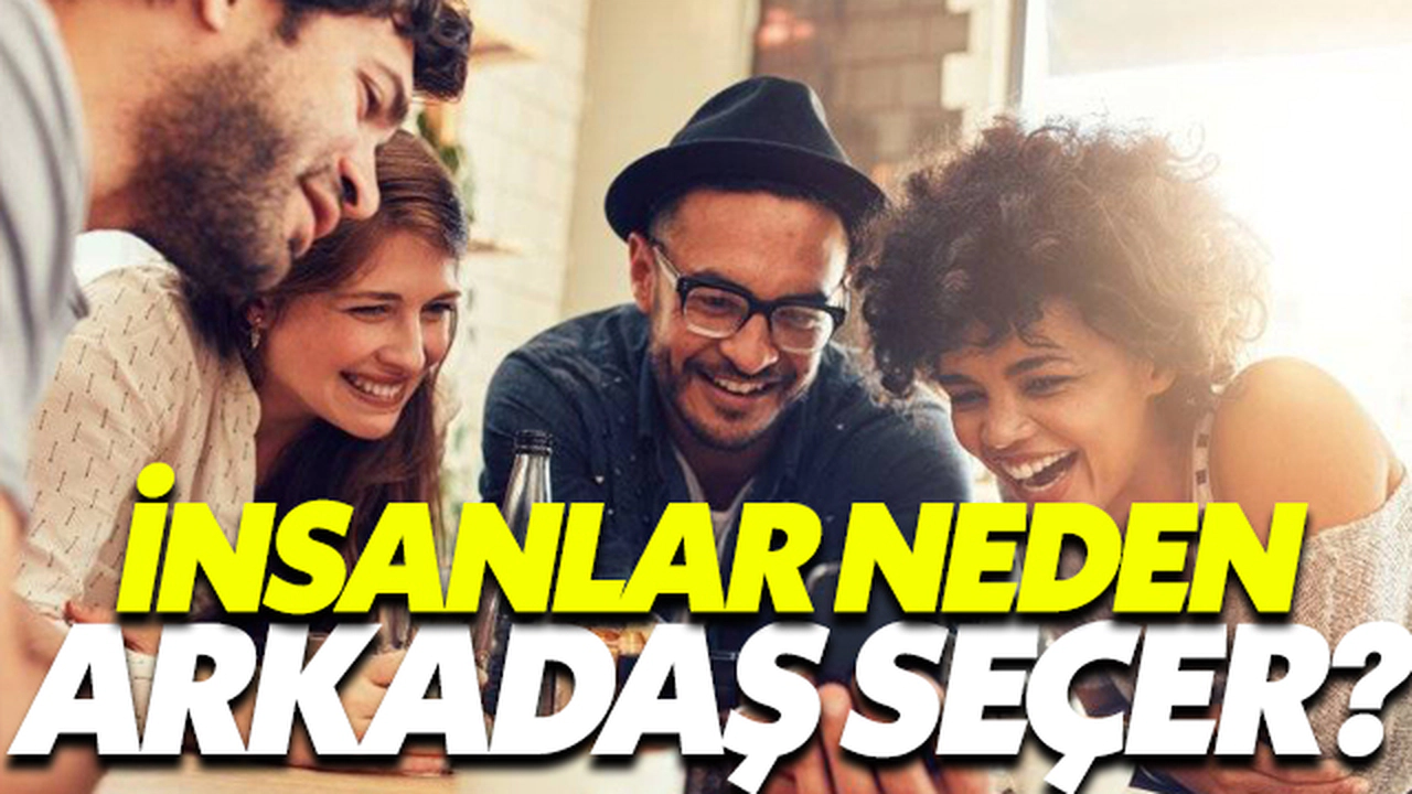 İnsanlar Neden Arkadaş Seçer?
