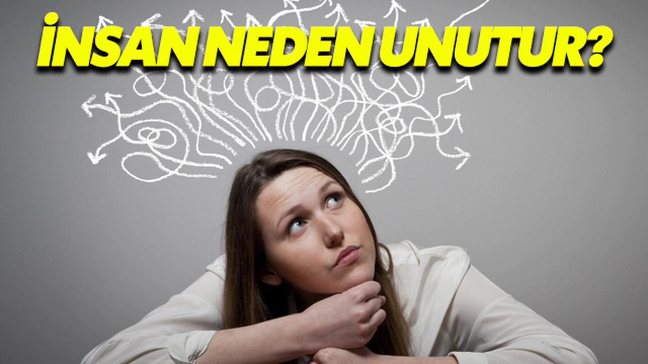 İnsan Neden Unutur?