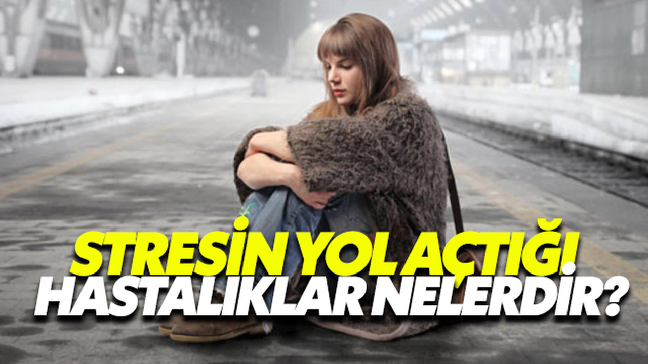 Stresin Yol Açtığı Hastalıklar Nelerdir?
