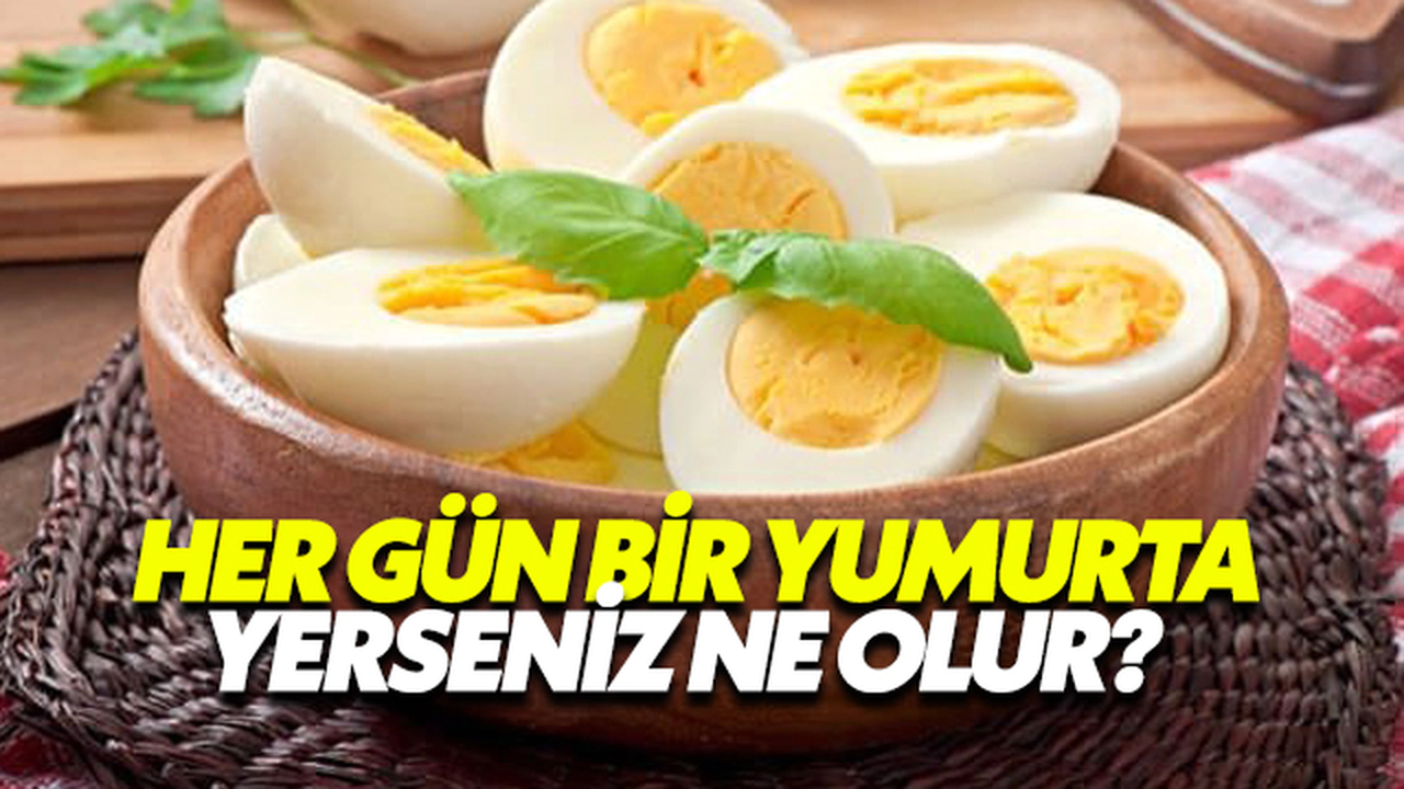 Her Gün 1 Yumurta Yerseniz Ne Olur?