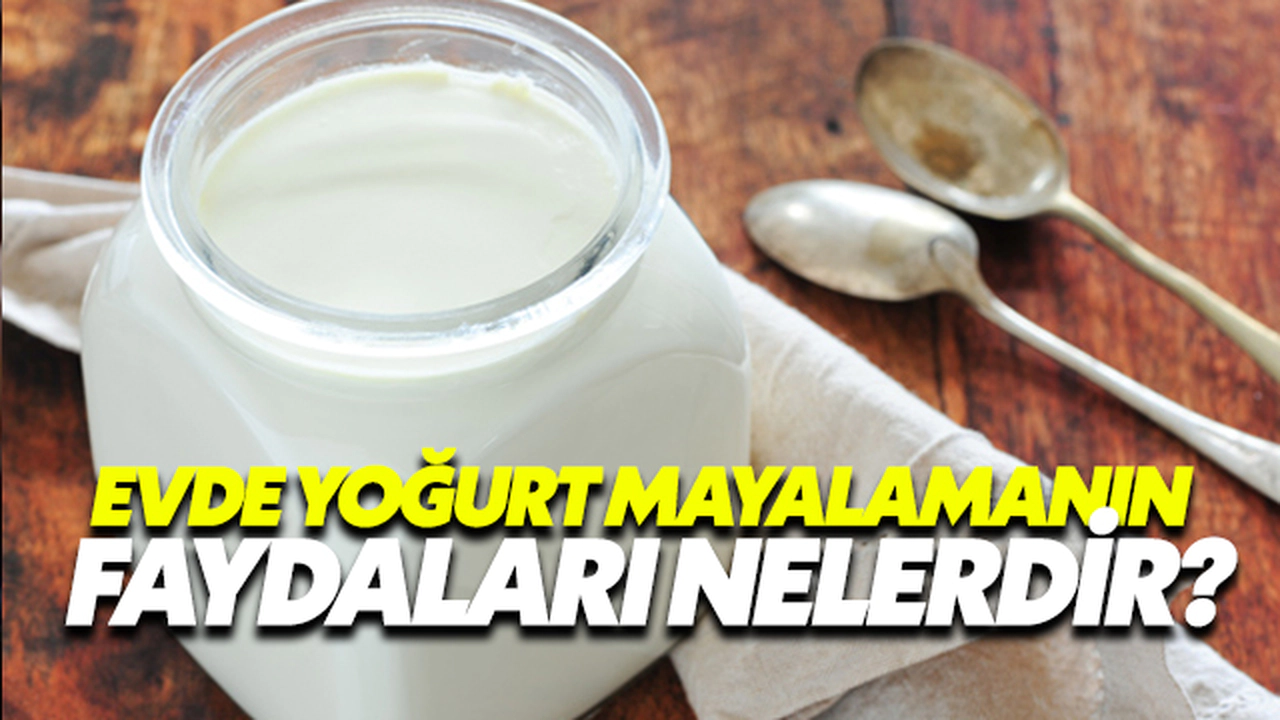 Evde Yoğurt Mayalamanın Faydaları Nelerdir?