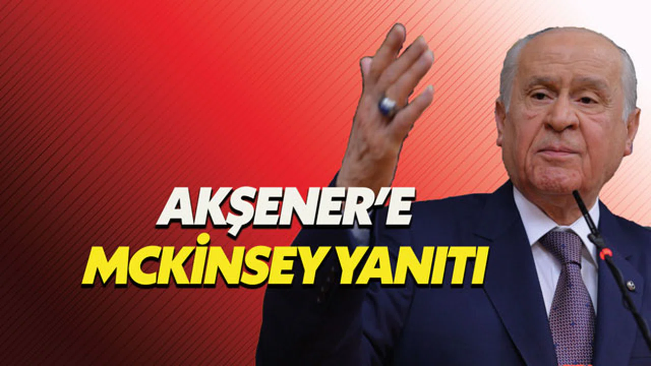 Devlet Bahçeli'den McKinsey savunması