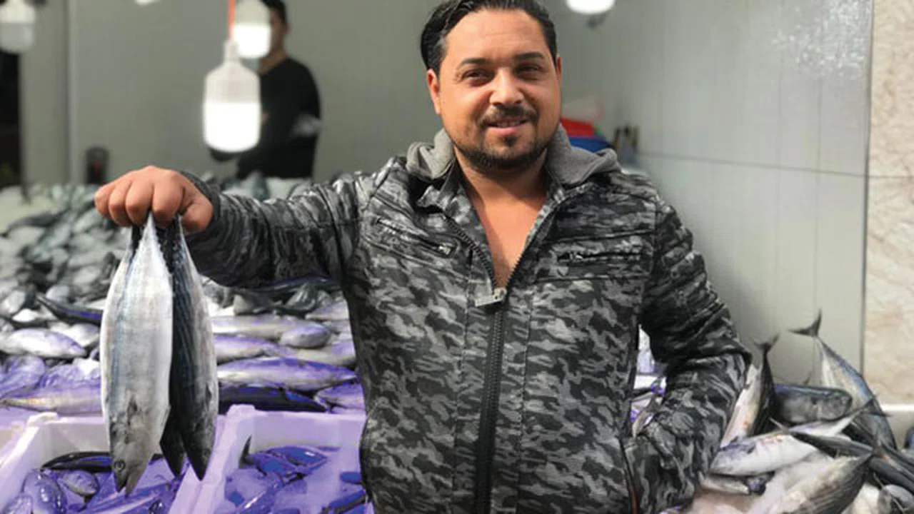 Palamut bolluğu Sinoplular'ın yüzünü güldürdü