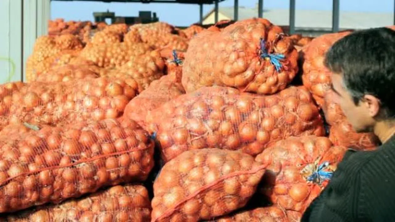 Soğanı vatandaşa 10 liraya yedirecekler