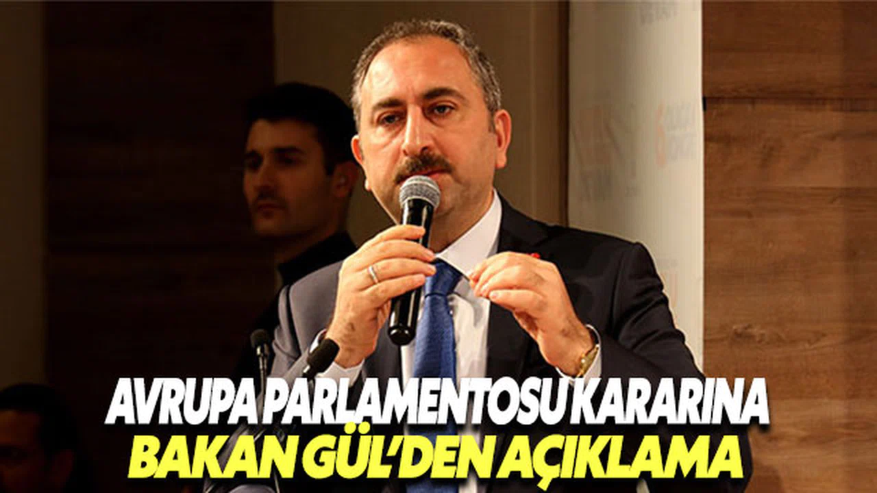 Bakan Gül'den Avrupa Parlamentosu kararına tepki