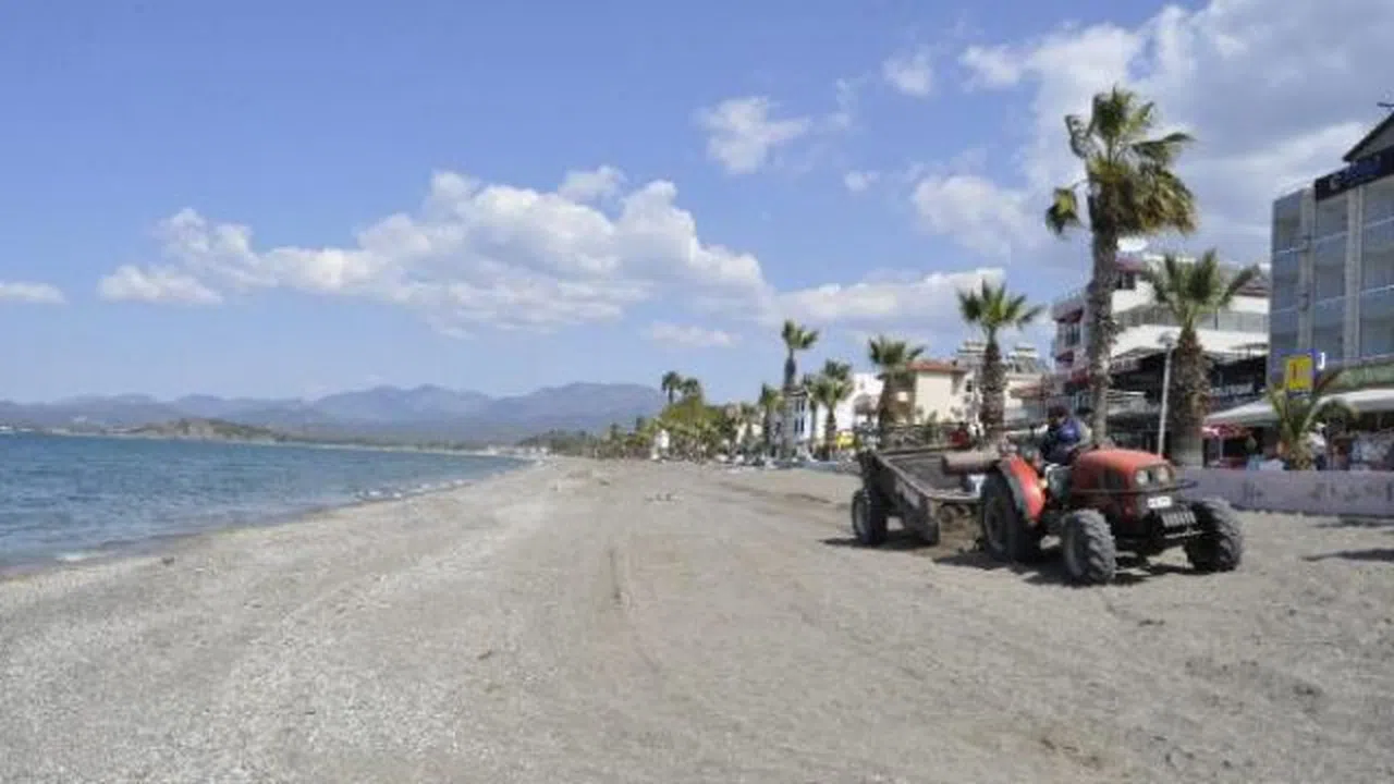 Caretta caretta'ların yumurta bırakacağı plajda temizlik yapıldı