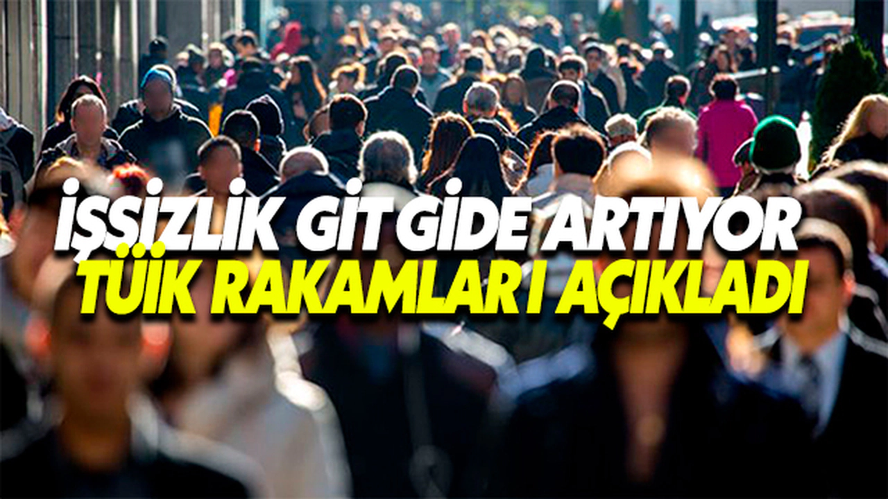 İşsizlik Gitgide Artıyor !