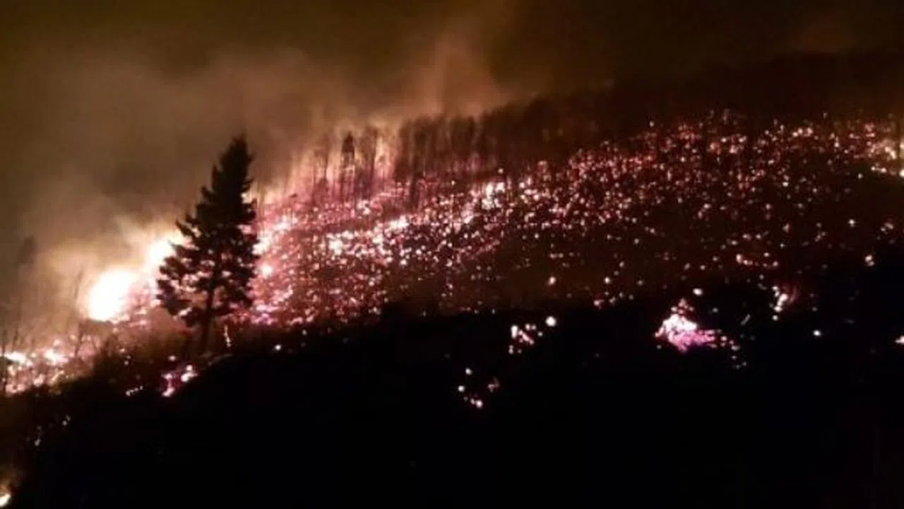 Karadeniz'de orman yangını
