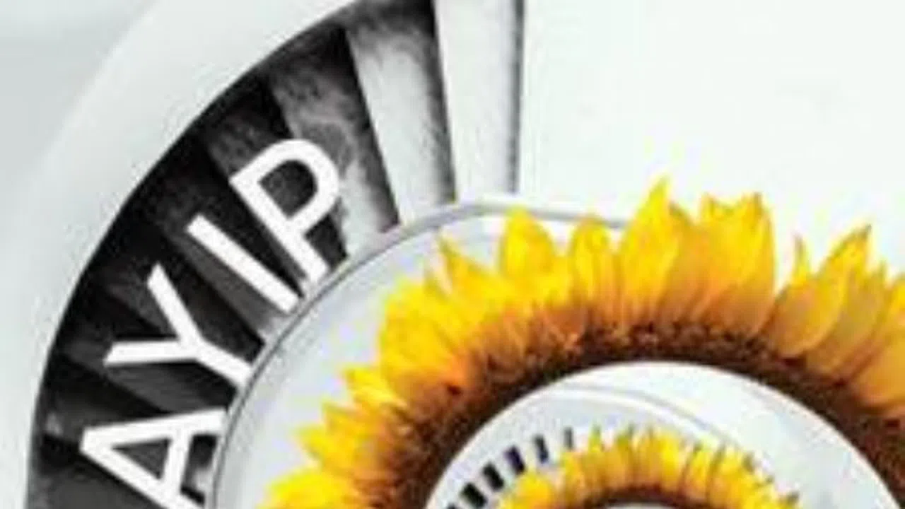 Ayşegül Salt'ın İlk Kitabı KAYIP