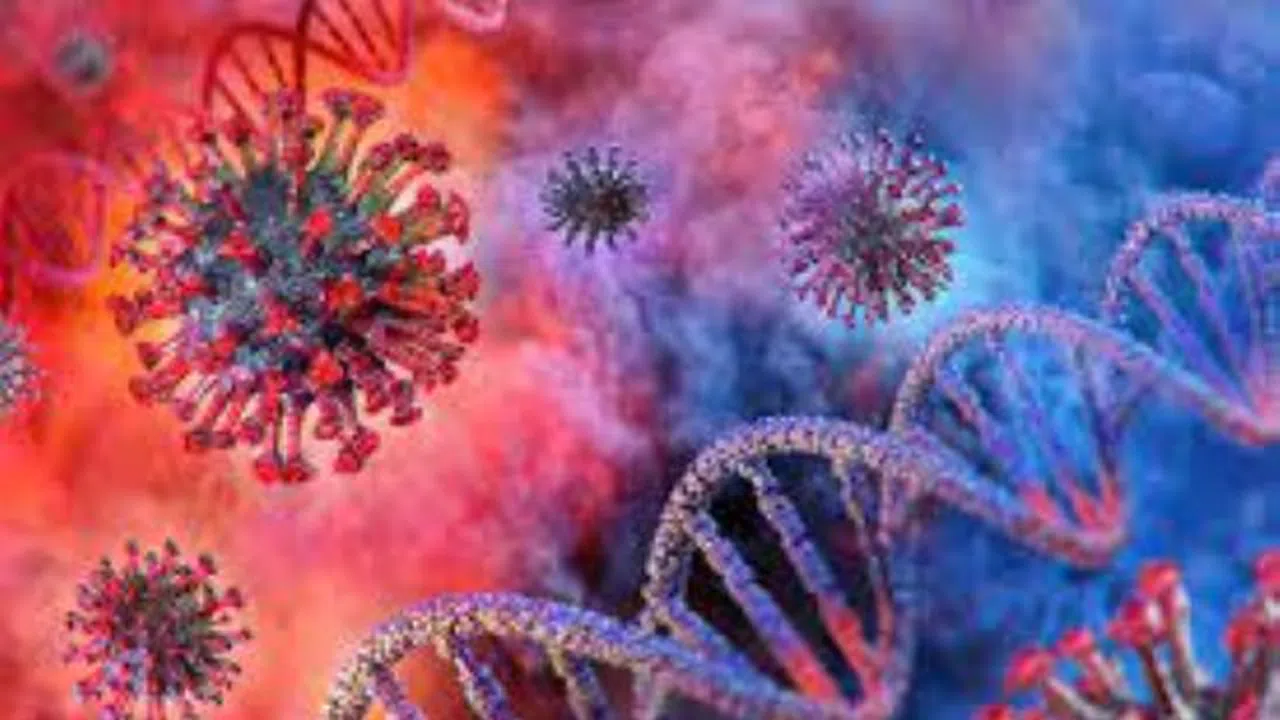 Corona Virüsü En Bulaşıcı Hale Dönüştü