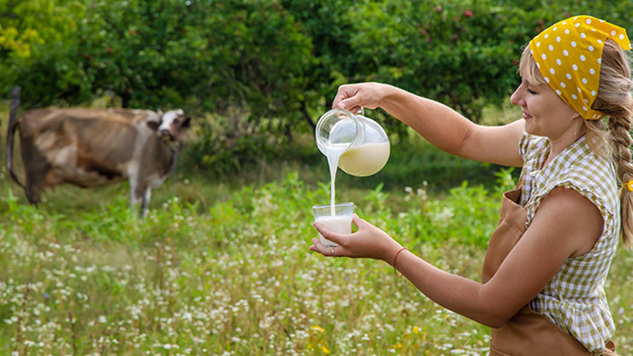Manda Sütünün Faydaları