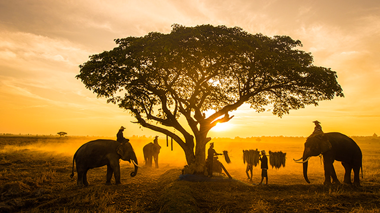 Doğa ve İnsanlık İçin İleriye Dönük Adımlar