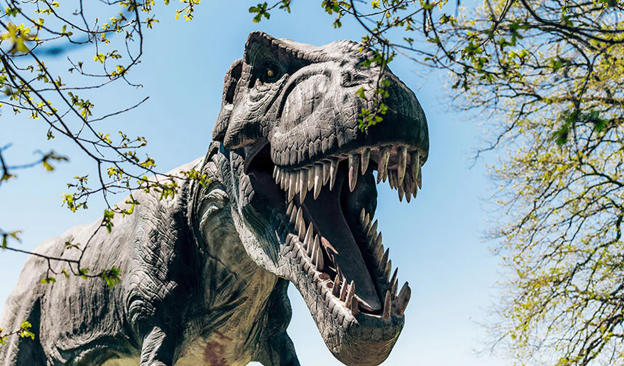 Dinozorların Sonu, Asteroit Çarpmasının Küresel Sonuçları