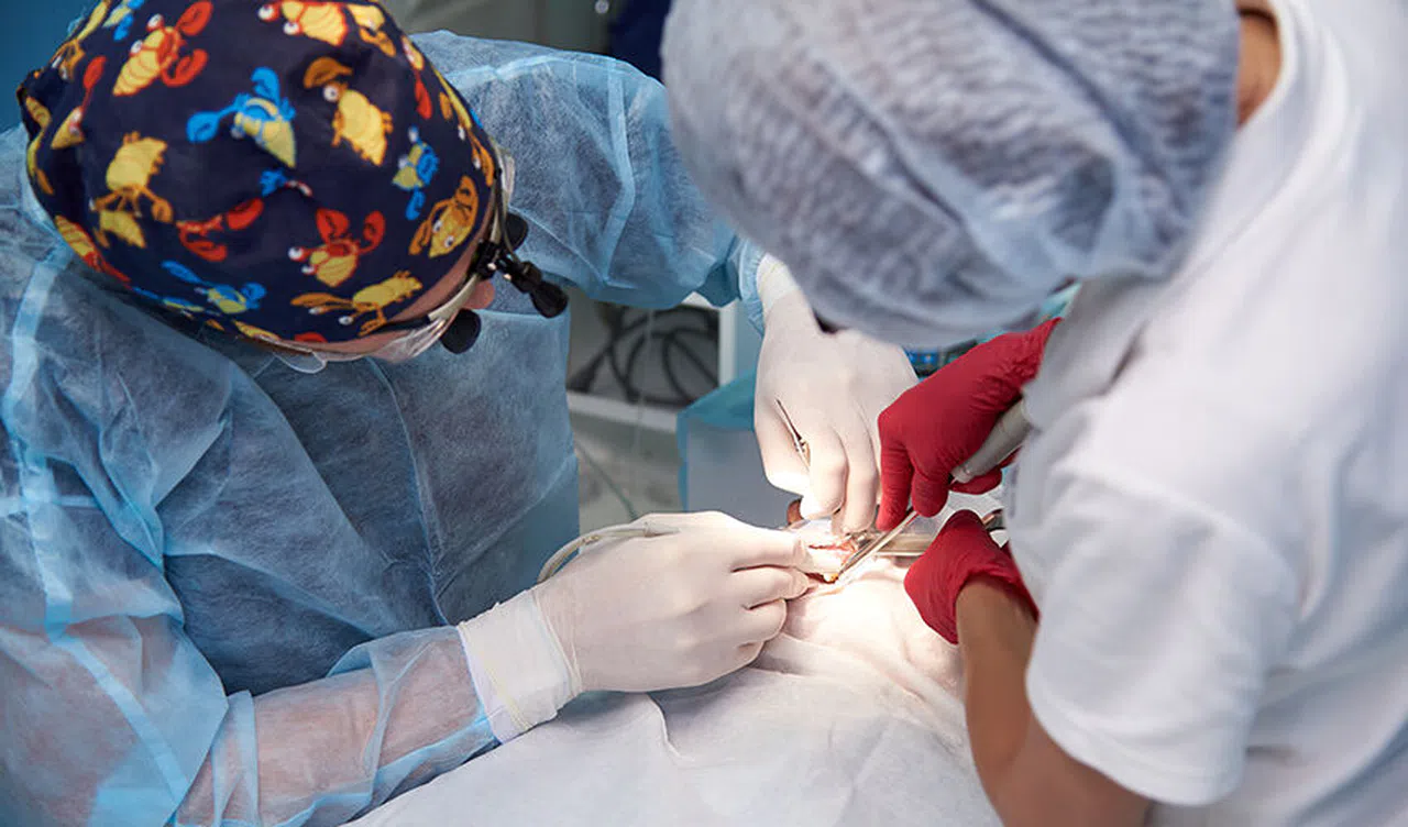 Ortopedide Göbek Yağından Gelen Şifa