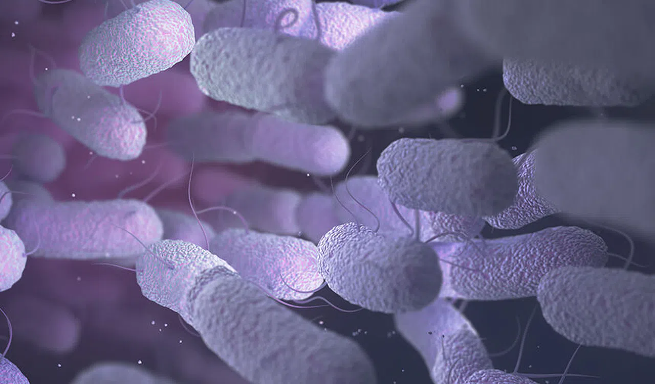 Mikropların Gücü, İlaç Direnci ve İyileşme Potansiyeli