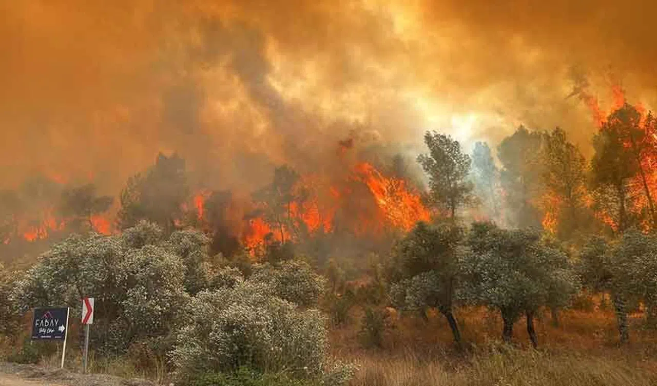 İzmir’in Üç İlçesinde Eş Zamanlı Yangın