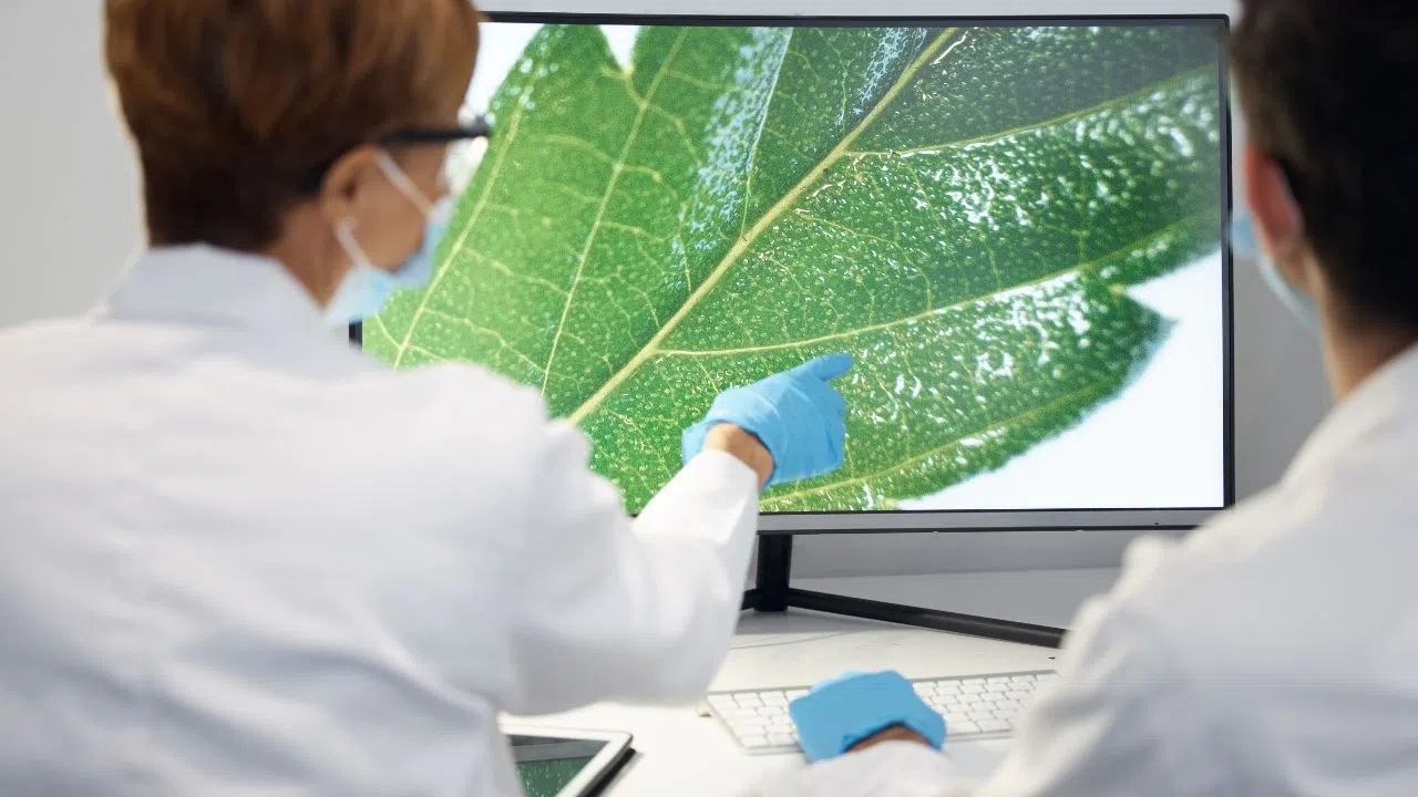 Hayvanların İlham Verdiği Mühendislik Harikaları