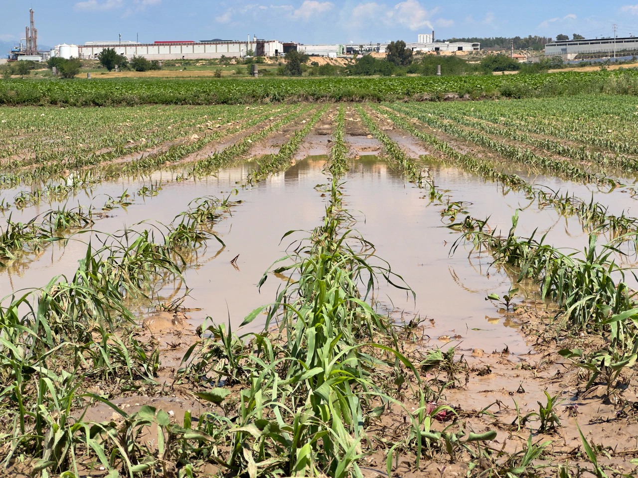 Osmaniye Sumbas’ta sağanak ve dolu tarımı vurdu
