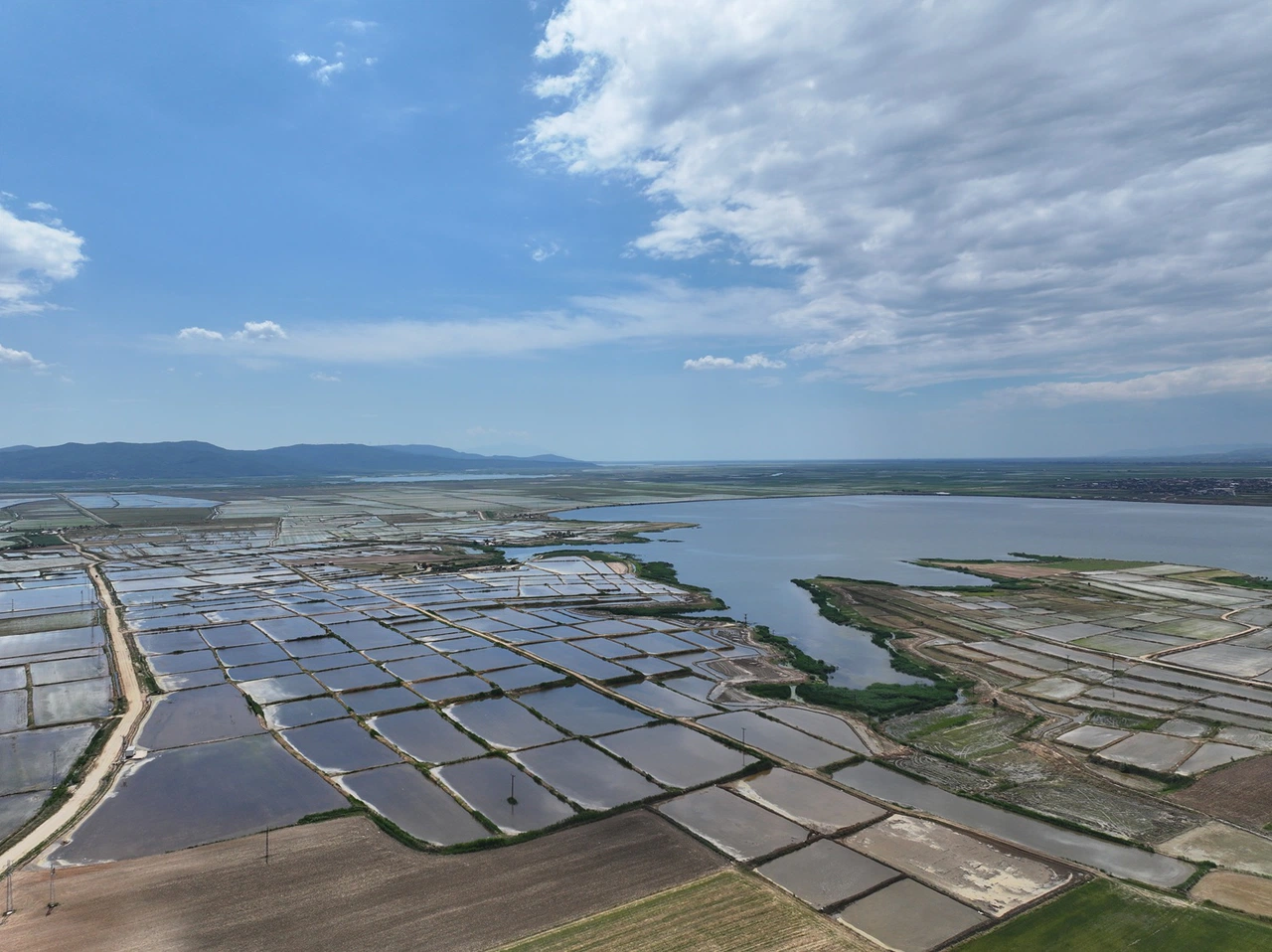 Edirne’de çeltik sezonu tamamlanmak üzere