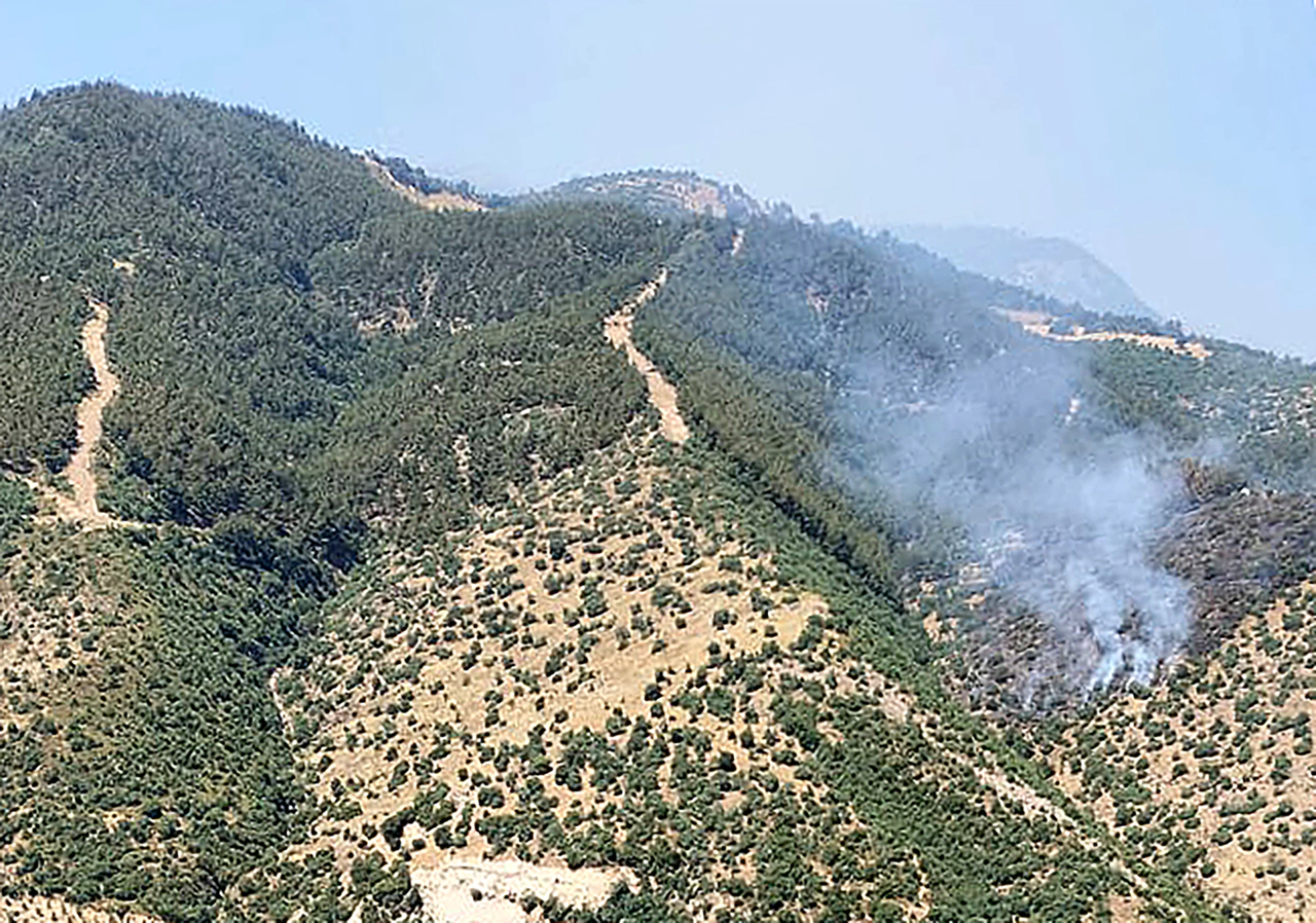 Alaşehir’de çıkan orman yangınına ekipler müdahale ediyor